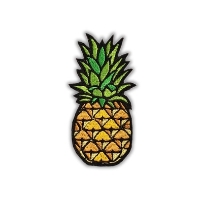Het ijzer naait op Vecro borduurde Flarden voor Jasjes Aangepast Logo Design